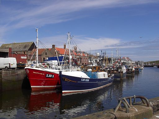 Eyemouth Harbour served by ​​​​​​​​​​​​​​​​​​Berwick skip Hire